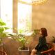 Imagen para el artículo titulado Un nuevo estudio acaba con el mito: las plantas con maceta que tienes en casa no purifican el aire